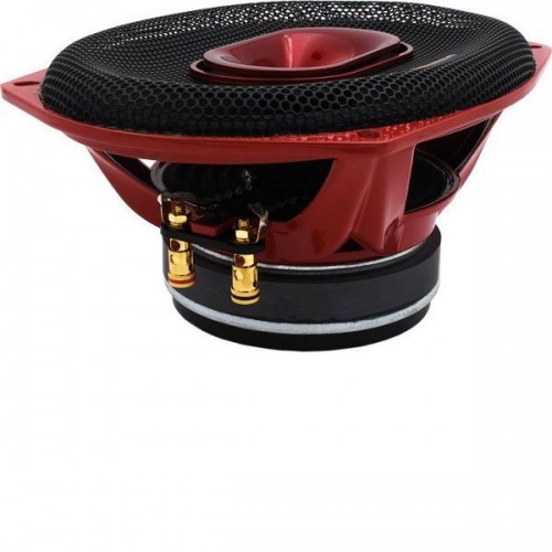 Ηχεία Αυτοκινήτου 6x9" με 350 RMS CTC-M6907