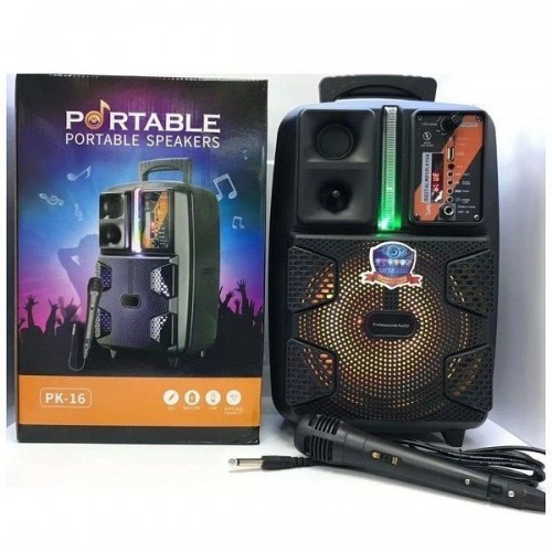 Ηχείο Karaoke 10W σε Μαύρο Χρώμα PK-16