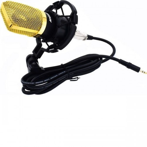 Μικρόφωνο Πυκνωτικό 3.5mm Q-MIC3 Τύπου Gooseneck Φωνής σε Χρυσό Χρώμα Andowl